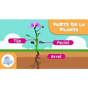 imatge_presentacio